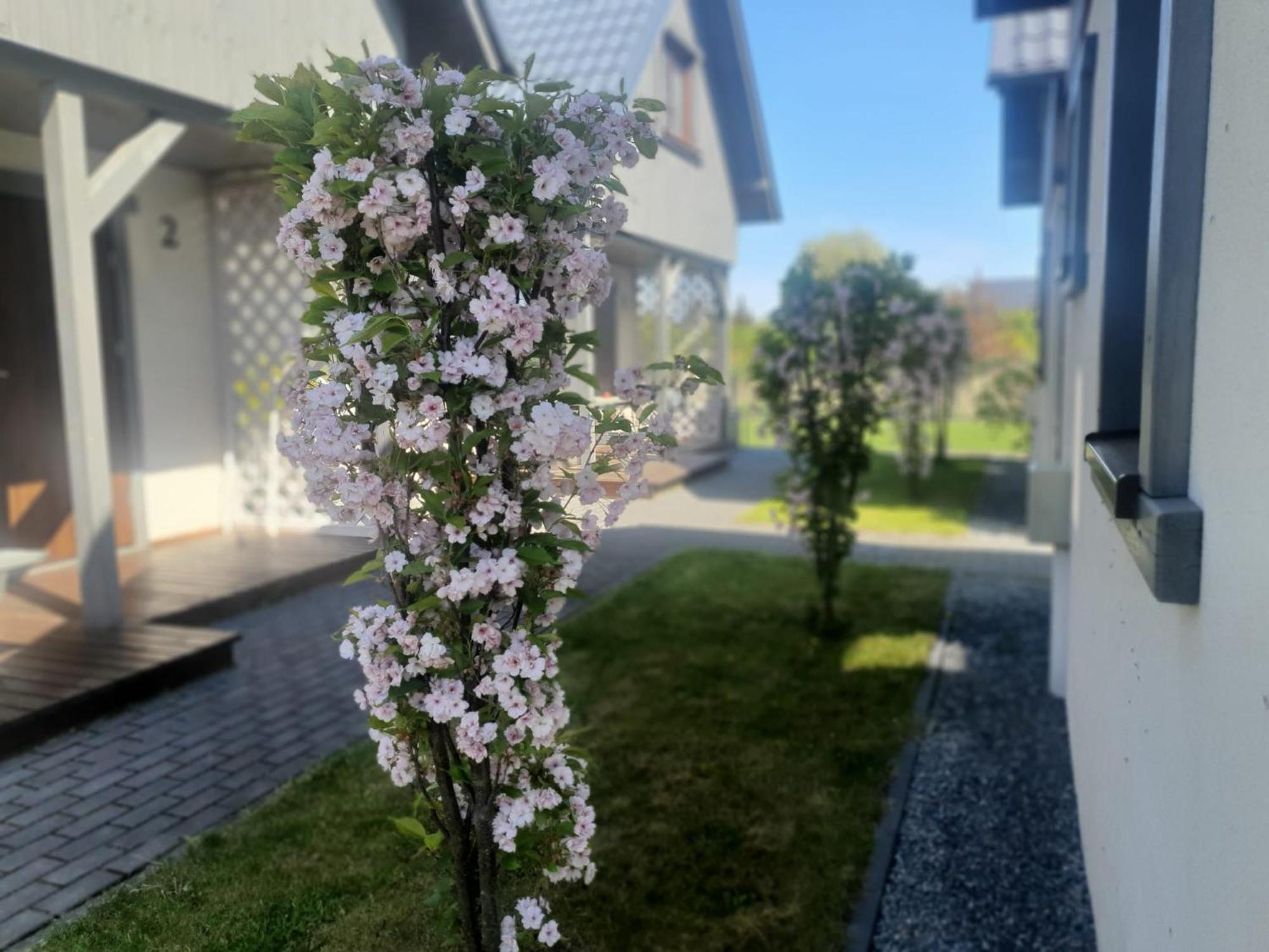 Holiday home Reyes Ii - Klimatyzowane *