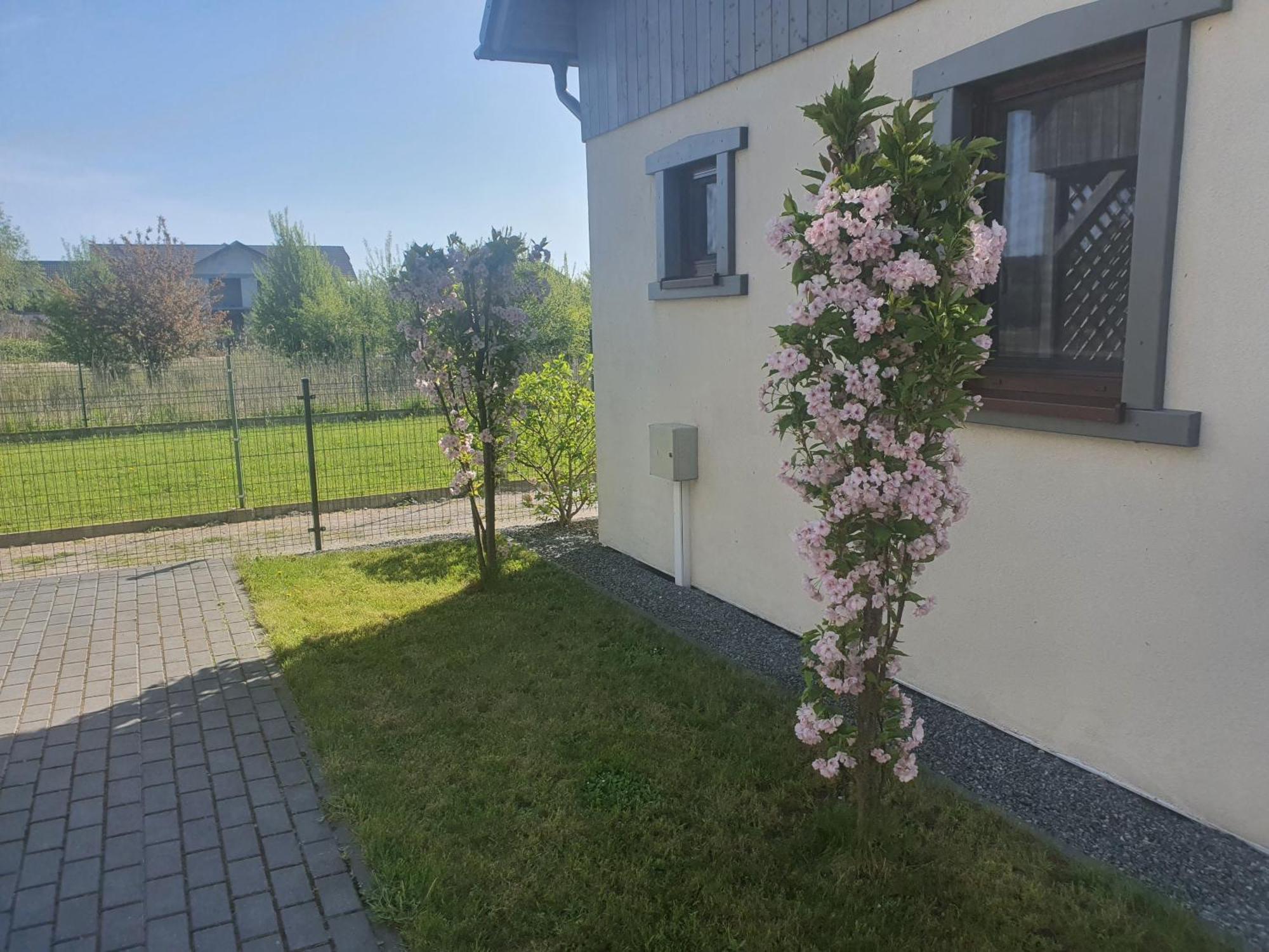 Reyes Ii - Klimatyzowane Holiday home